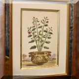 A14. 4 Trowbridge Gallery mirrored frame ”Munting Greenery” botanica